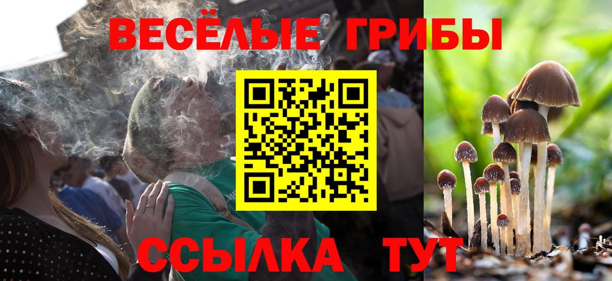Краснокаменск  Галлюциногенные грибы MAGIC MUSHROOMS  Вход с VPN 
