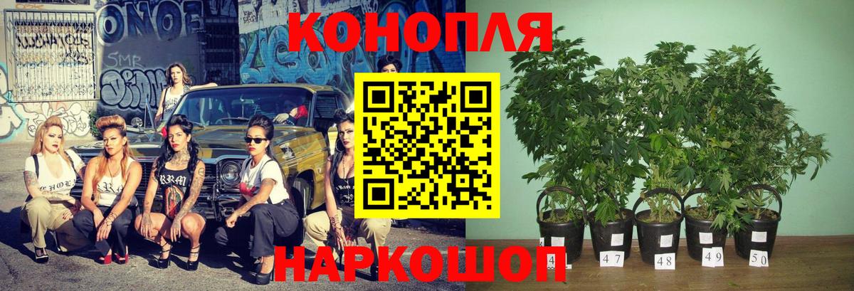 Краснокаменск  Конопля марихуана  Конопля планчик  Вход с VPN  Марихуана LSD WEED 